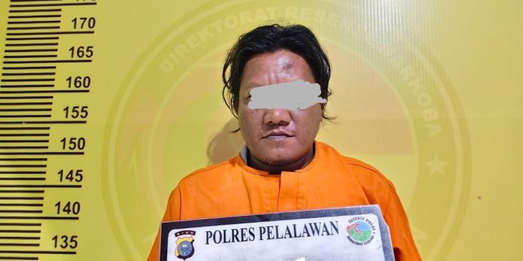 SATRESNARKOBA POLRES PELALAWAN BEKUK BURUH PENGEDAR SABU 1,32 GRAM DI UKUI