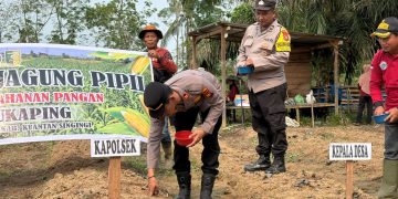 Polsek Pangean Dukung Ketahanan Pangan, Tanam Jagung Pipil di Desa Sukaping