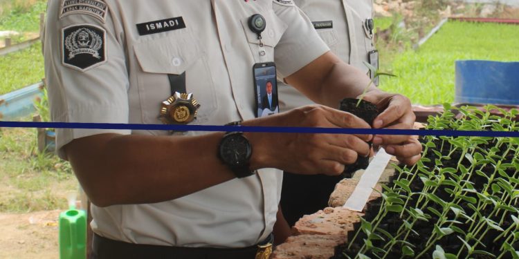 TINJAU PROGRAM KETAHANAN PANGAN KALAPAS NARKOTIKA RUMBAI LAKUKAN PENGECEKAN PERAWATAN PEMBENIHAN MELON