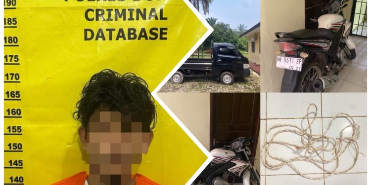 Polsek Medang Kampai Ungkap Dugaan Pencurian Ternak, Satu Pria Diamankan