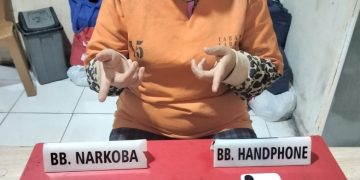 Satresnarkoba Polres Kampar Tangkap IRT Jual Sabu-sabu di Desa Bukit Kemuning