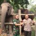 GANESHA LAHIR DI FLYING SQUAD TESSO NILO – ANAK KEENAM LISA JADI HARAPAN BARU KONSERVASI GAJAH SUMATERA