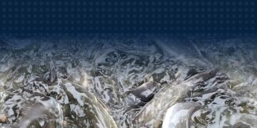 Sortir Ikan Lele, Lapas Tembilahan Optimalkan Hasil Budidaya
