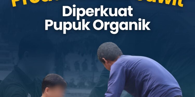 Produktivitas Sawit Diperkuat Pupuk Organik