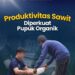 Produktivitas Sawit Diperkuat Pupuk Organik