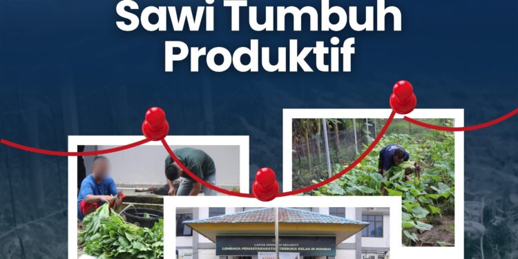 Lapas Terbuka Kelas III Rumbai Kembali Panen, Sawi Tumbuh Produktif
