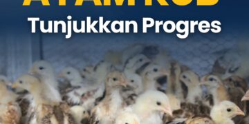 Lapaas Terbuka Kelas III Rumbai Mengembangkan Ayam KUB Tunjukkan Progres
