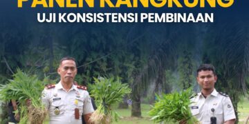 Panen Kangkung, Uji Konsistensi Pembinaan