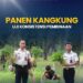 Panen Kangkung, Uji Konsistensi Pembinaan