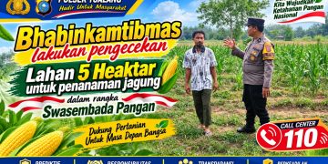 Polsek Tualang Dorong Swasembada Pangan, 5 Hektare Lahan Kelompok Tani Disiapkan untuk Jagung