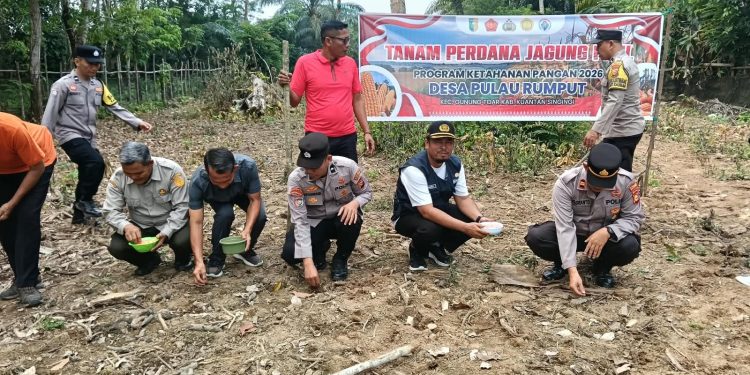 Polsek Kuantan Mudik Dukung Swasembada Pangan 2026, Tanam Jagung Pipil di Desa Pulau Rumput