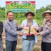 Polsek Tualang Bersama unsur Forkopimcam dan Kelompok Tani Sumber Rezeki Tanam Jagung dilahan 2 Hektare, Dukung Ketahanan Pangan Nasional
