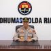 Riau Nihil Karhutla, Satgas Tetap Siaga Cegah Titik Api Kembali Muncul