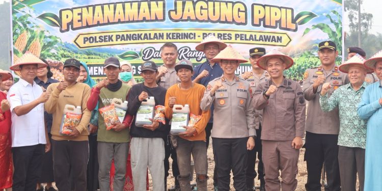 DUKUNG ASTA CITA PRESIDEN – KAPOLRES PELALAWAN PIMPIN TANAM JAGUNG SERENTAK 3 HEKTAR DI MEKAR JAYA