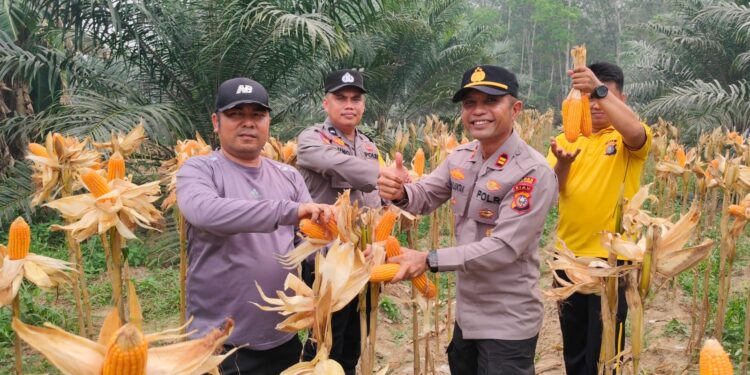 Polsek Benai Dukung Swasembada Pangan di Geringging Baru