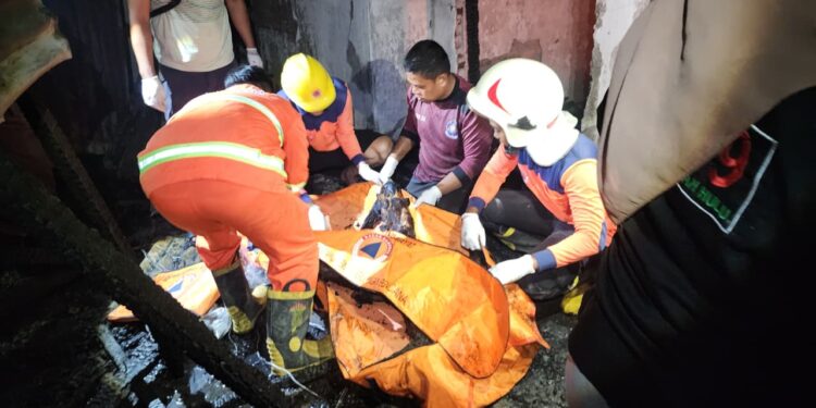 Kebakaran Hebat di Gang Rambutan Kecamatan Rambah, 1 Orang Tewas dan 4 Luka-luka, Kerugian Capai Rp800 Juta