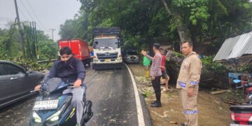 Respon Cepat Polsek Kampar: Pohon Tumbang Akibat Angin Kencang di Km 54 Langsung Dibereskan, Jalan Kembali Normal