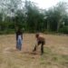 Polsek Kuantan Mudik Cek Tanaman Jagung di Pebaun Hulu, Dukung Swasembada Pangan