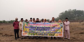Polsek Kuantan Tengah Dukung Ketahanan Pangan melalui Penanaman Jagung di Muaro Sentajo