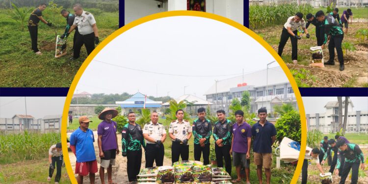 *KERJA SAMA PEMANFAATAN FABA LAPAS NARKOTIKA RUMBAI GUNAKAN PUPUK ORGANIK BANTUAN PLN UNTUK PEMUPUKAN TANAMAN KETAHANAN PANGAN*