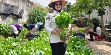 Kalapas Perempuan Pekanbaru Pantau Lahan Ketahanan Pangan, Pastikan Budidaya Sayuran Terus Produktif