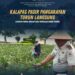 Kalapas Pasir Pangarayan Turun Langsung, Ajarkan Warga Binaan Cara Mengolah Kebun Terong
