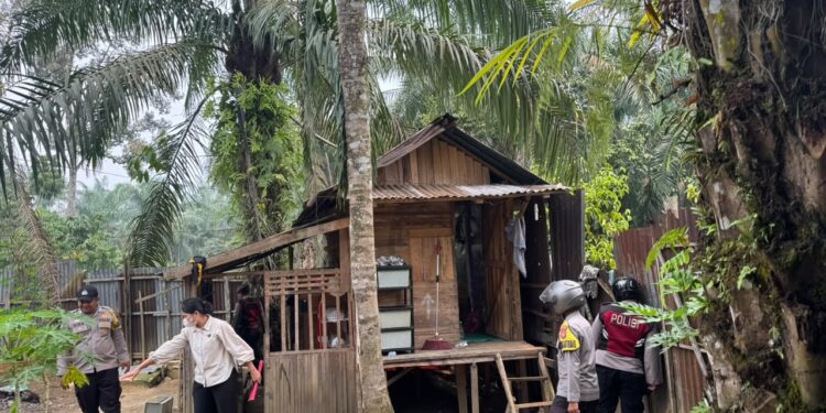 Polres Rohul Gelar Operasi Sarang Narkoba di Rambah, Sejumlah Gubuk Ditemukan Berisi Alat Isap Sabu