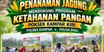 Dukung Swasembada Pangan 2026, Kapolsek Kampar Kiri Bersama Kelompok Tani Toeroba Berkah Tanam Jagung di Desa Kuntu