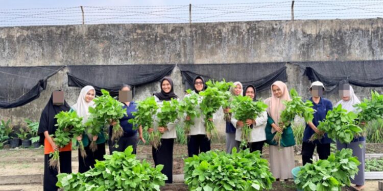 Panen Bayam, Wujud Pembinaan Produktif di Lapas Perempuan Pekanbaru