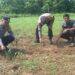 Dukung Swasembada Pangan 2026, Polsek Kuantan Mudik Cek Perkembangan Tanaman Jagung Pipil di Desa Petapahan