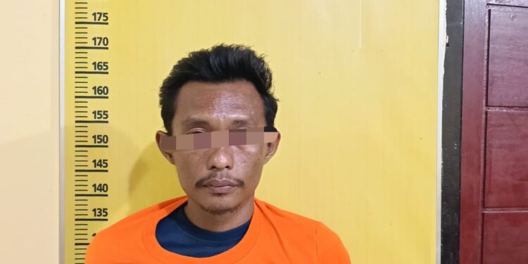 Polsek Tapung Tangkap Pelaku Ancaman Dibunuh Pada Mantan Kekasih