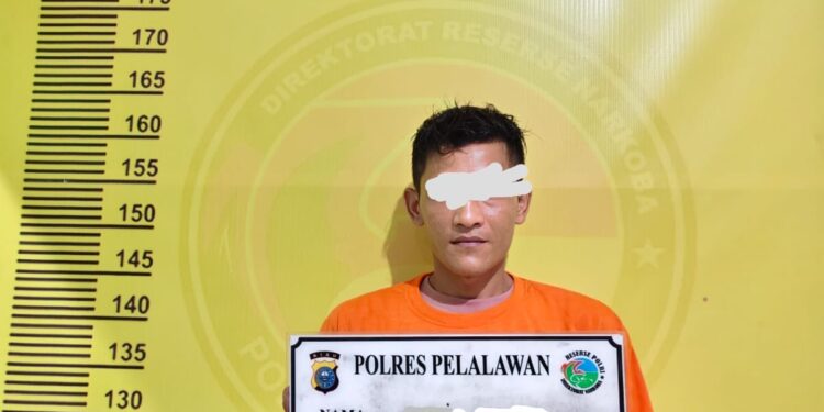 Petani di Pangkalan Kuras diamankan Satres Narkoba Polres Pelalawan karena memilik Sabu dan Ganja