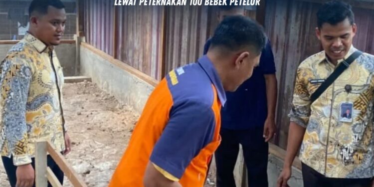 Lapas Pasir Pangarayan Kembangkan Pembinaan Kemandirian Lewat Peternakan 105 Bebek Petelur