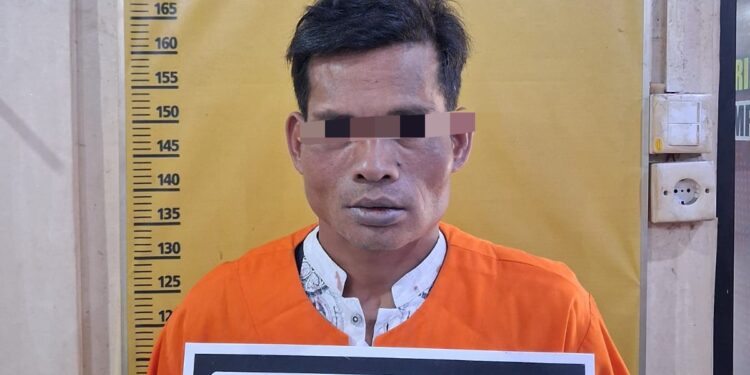 Polres Kampar Tangkap Pria Paru Baya, Nekat Cabuli Anak Tirinya Usia 6 Tahun Hingga Pendarahan