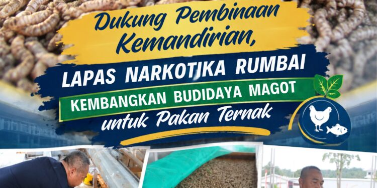 Dukung Pembinaan Kemandirian, Lapas Narkotika Rumbai Kembangkan Budidaya Magot untuk Pakan Ternak