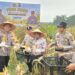 Polres Siak Perkuat Ketahanan Pangan, Polsek Kandis Bersama Petani Sukses Panen Jagung
